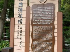 -大湾区中央湿地公园