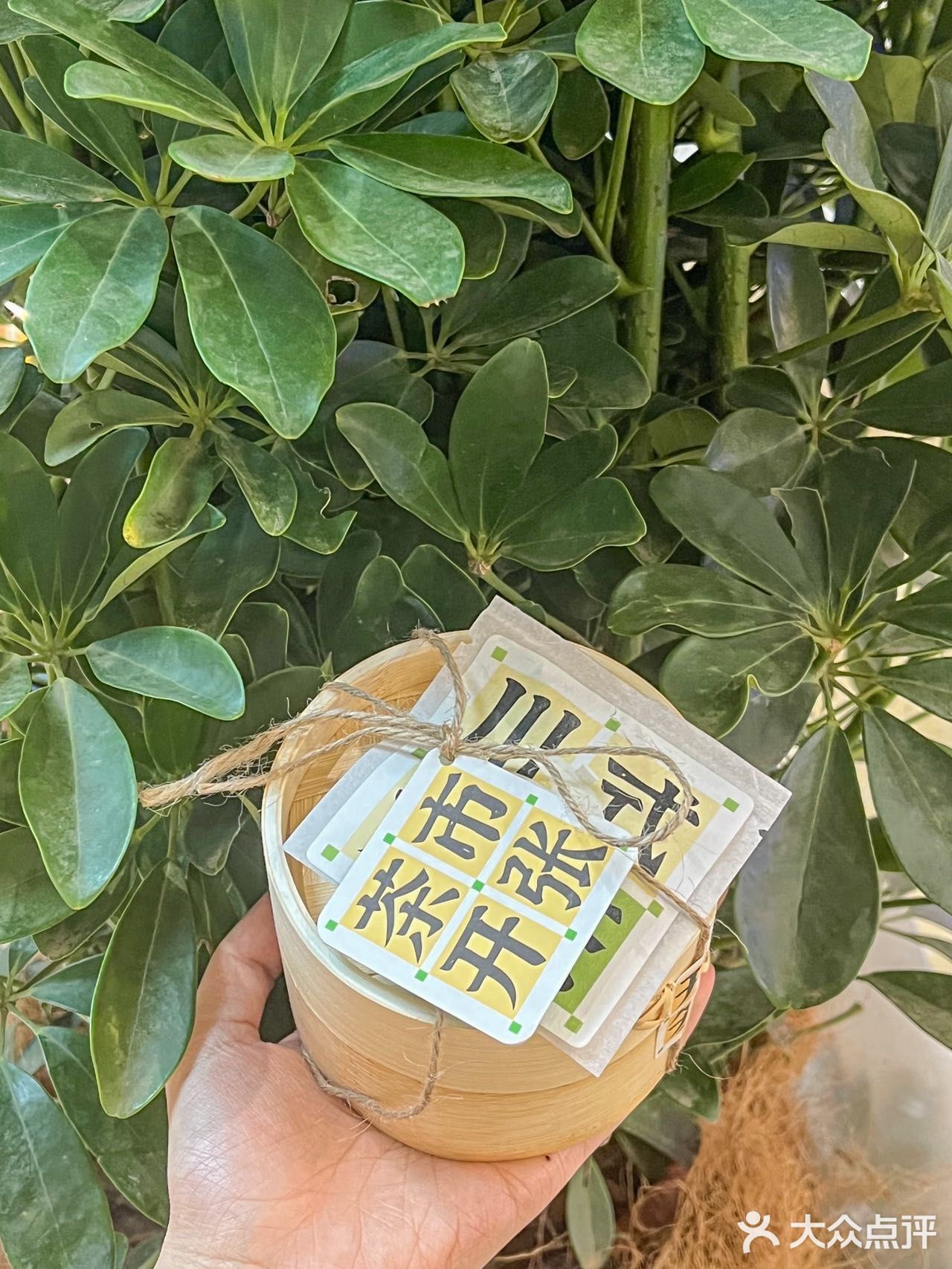 终于喝到咸奶盖碗茶了！奶香奶香 太绝了…