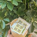 终于喝到咸奶盖碗茶了！奶香奶香 太绝了…