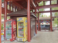 -滕州微山湖红荷湿地景区