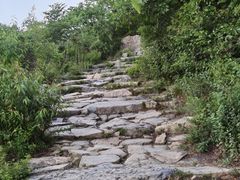 -阳台山自然风景区