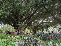 -人民公园(罗湖区)