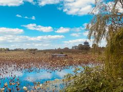 -上海海湾国家森林公园