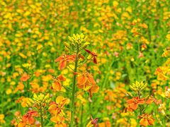 -BHG生活超市(安贞店)