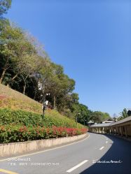 -爱帝宫月子中心(罗湖别墅院)