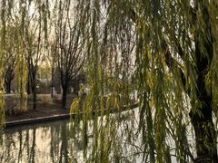 -朝阳公园游乐园