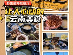 -野菌皇海景野生菌火锅(滨海大道店)