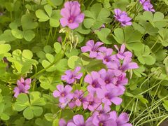 -苏州河梦清园环保主题公园