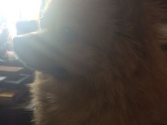 iphone_upload_pic-A+摄影