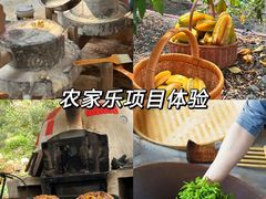 -美的鹭湖森林度假区