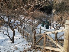 -香山公园