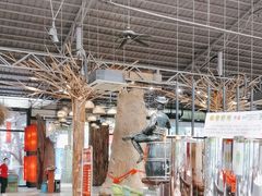 -大树头森林餐厅(番禺广场店)