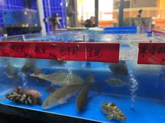 -明本湛江鸡•海鲜小厨(陈家祠店)