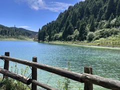 -武陵山森林公园