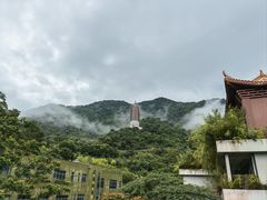 -深圳仙湖植物园