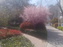 -青岛市图书馆