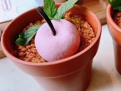 雪绒球冰淇淋-哈根达斯(滨江店)