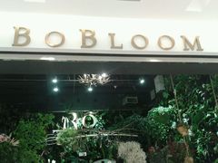 -BOBLOOM花店(宝龙旭辉广场店)