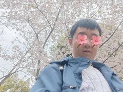 -堤角公园