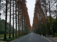 -青城山