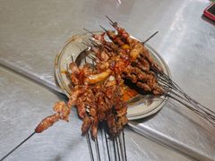 -张四烤羊肉(西藏自治区拉萨市丹杰林巷店)