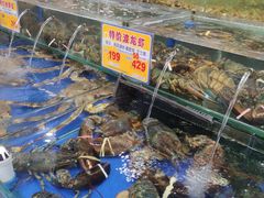 水产区-东江海鲜酒家(艺都分店)
