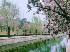 -元大都城垣遗址公园