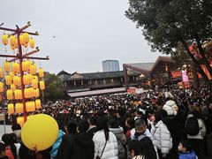 -武汉园博园(武汉自然博物馆)
