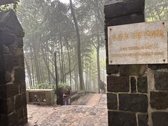 -莫干山风景区