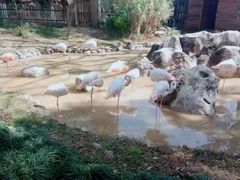 -昆明动物园