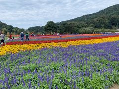 -广州市石门国家森林公园