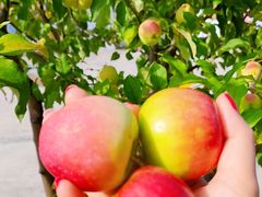 -庆岭迎宾园正宗活鱼馆