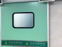 -半岛宠物医院24小时·内窥镜·牙科·碎石中心(府城大道店)