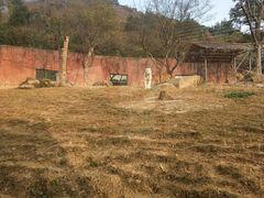 -无锡动物园·太湖欢乐园