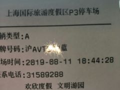 -迪士尼乐园停车场