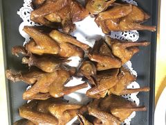 -鸽王世家(东华东路店)