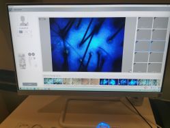 -史云逊养发护发