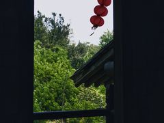 -大唐贡茶院