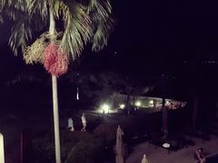 -椰树岛海滩度假村