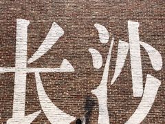 -黑色经典臭豆腐·湖南特产(太平街口店)