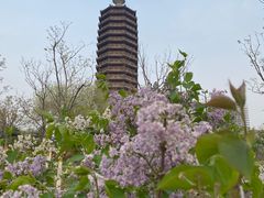 -西海子公园
