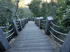 -梧桐山风景名胜区