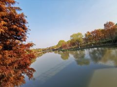 -自然谷恐龙园