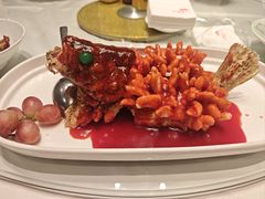 -松鹤楼(狮山永利广场店)