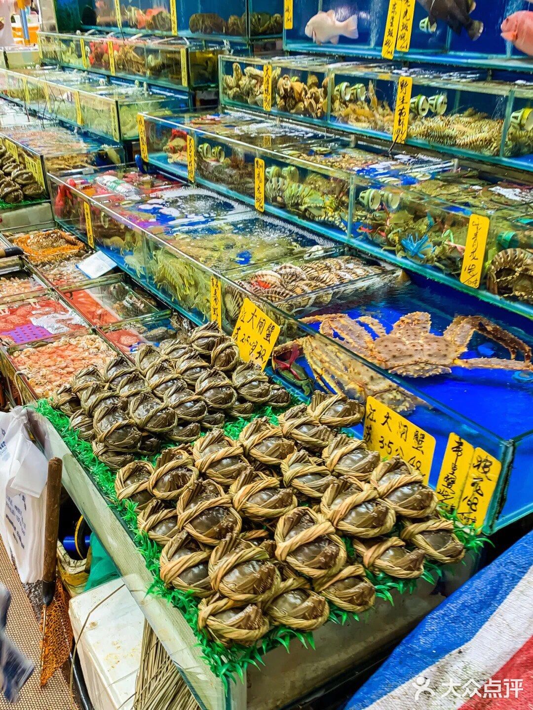 2元！12个站！荔湾又开公交新旅游线，带你一站站逛吃去！