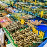 2元！12个站！荔湾又开公交新旅游线，带你一站站逛吃去！