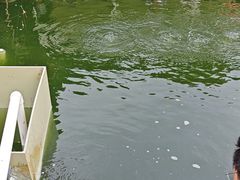 -DGE季风钓虾营地·团建·聚会