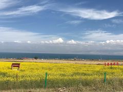 -青海湖国家重点风景名胜区
