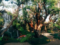 -Chom Cafe and Restaurant