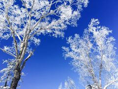 -亚布力新体委滑雪场